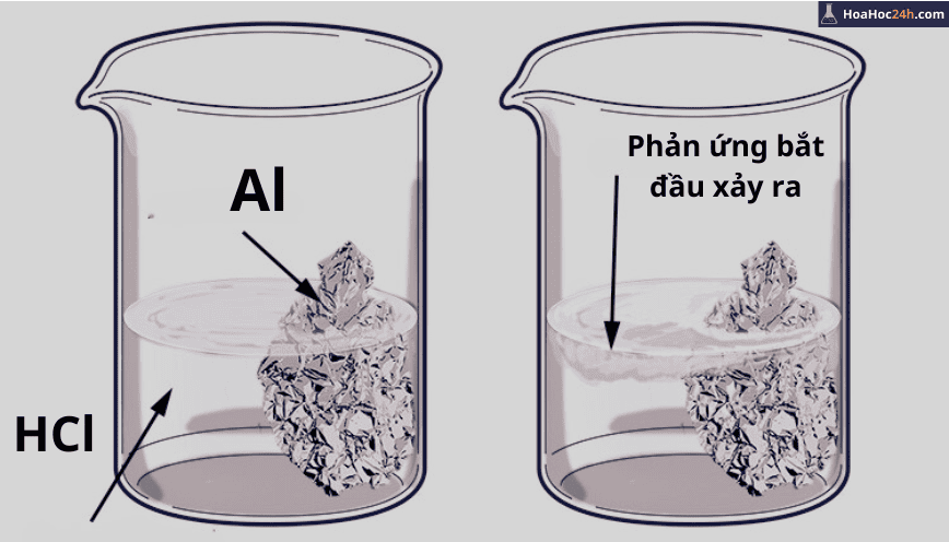 Al + HCl