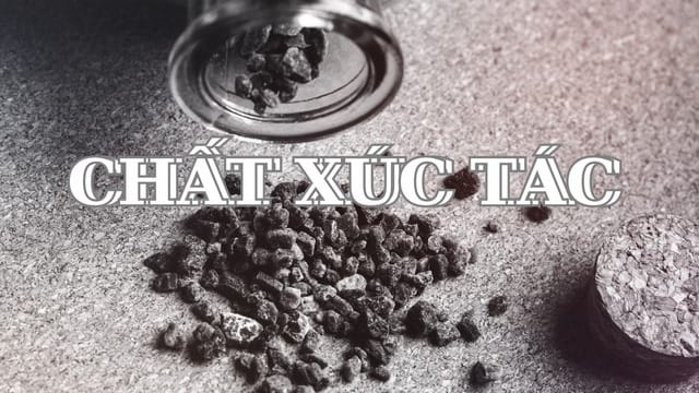 Chất xúc tác cũng là một trong những yếu tố quyết định đến kết quả phản ứng