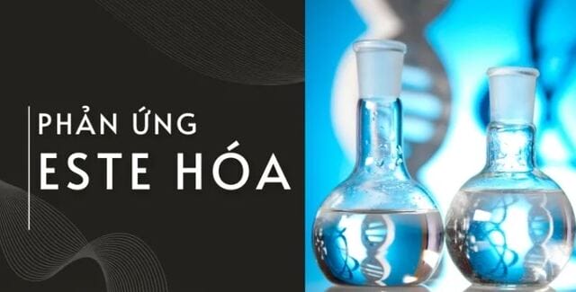 Khái niệm este hóa, phản ứng este hóa