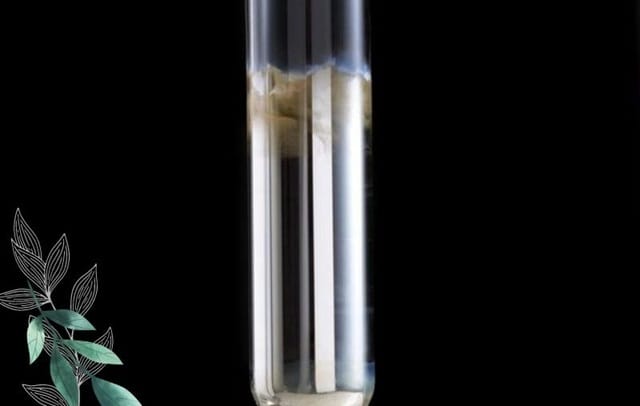 Maltose có phản ứng tráng bạc không? Thí nghiệm minh họa