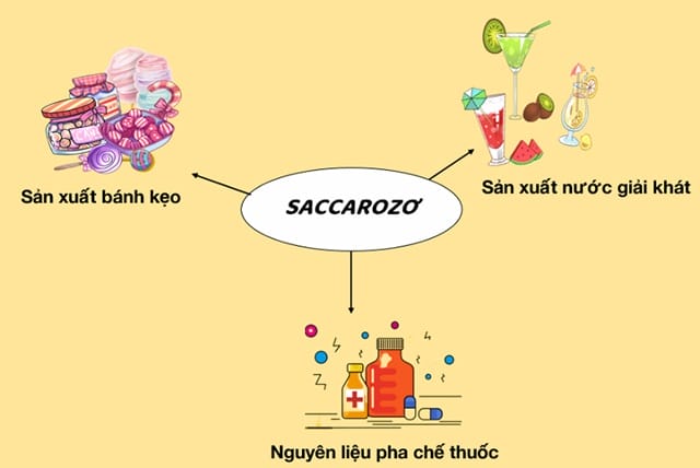 Saccarozơ có phản ứng tráng bạc không? Ứng dụng thực tiễn