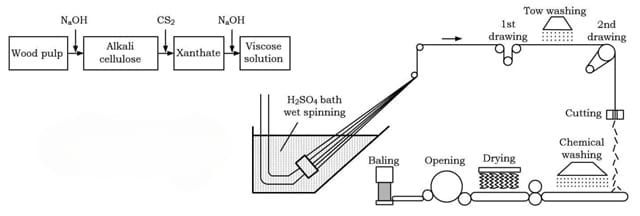 Tìm hiểu cơ chế phản ứng và ý nghĩa khoa học của quá trình tạo tơ visco