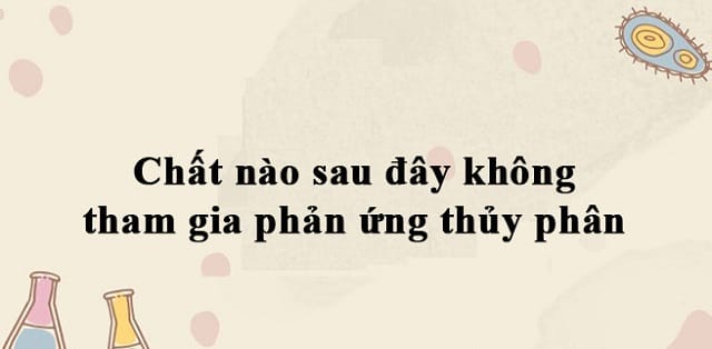 Chất nào sau đây không tham gia phản ứng thuỷ phân?