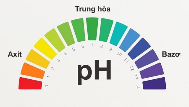 Môi trường kiềm là gì?