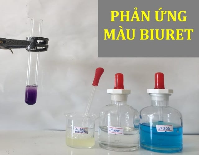 Thí nghiệm phản ứng Biure thực hiện khá đơn giản