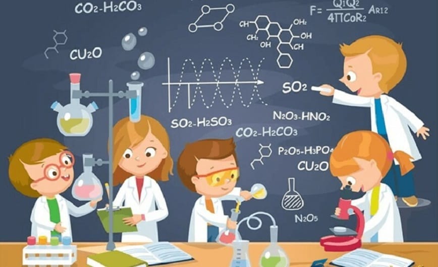 Các chất tham gia phản ứng NaHCO₃ + Ba(OH)₂ đều được phân chia nhiệm vụ nhất định