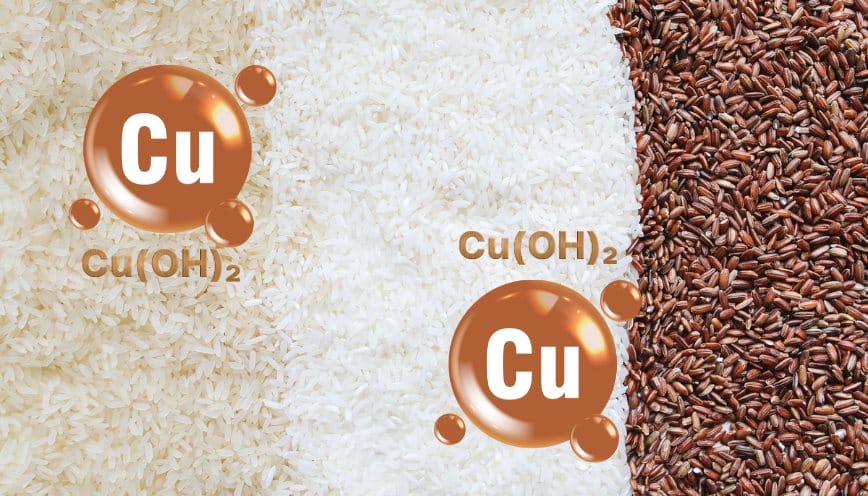 Hiểu rõ tinh bột và Cu(OH)₂