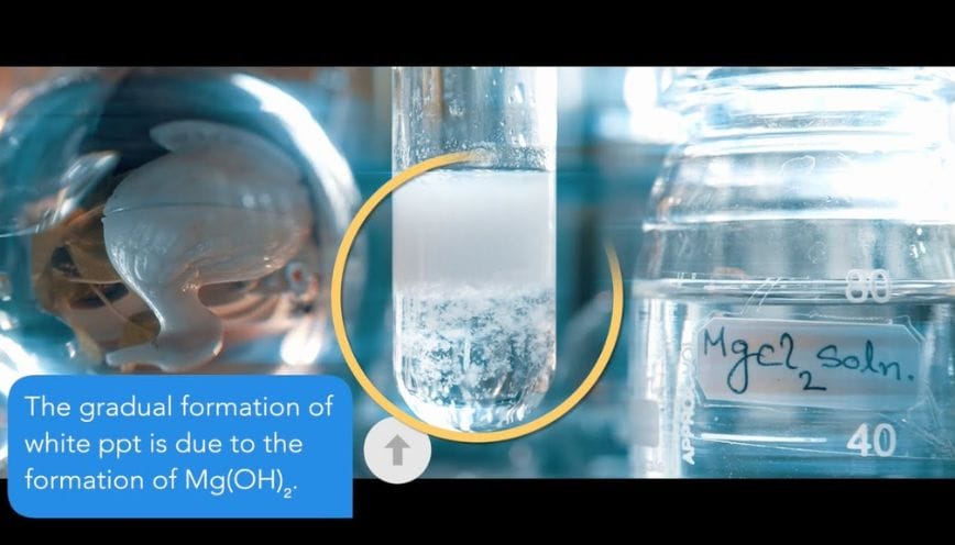 Bật mí trọn vẹn những thông tin thú vị nhất về phản ứng MgCl2 + NaOH