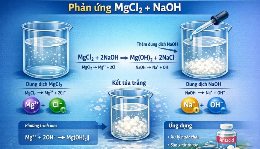 Những ứng dụng phổ biến nhất của phản ứng MgCl2 + NaOH