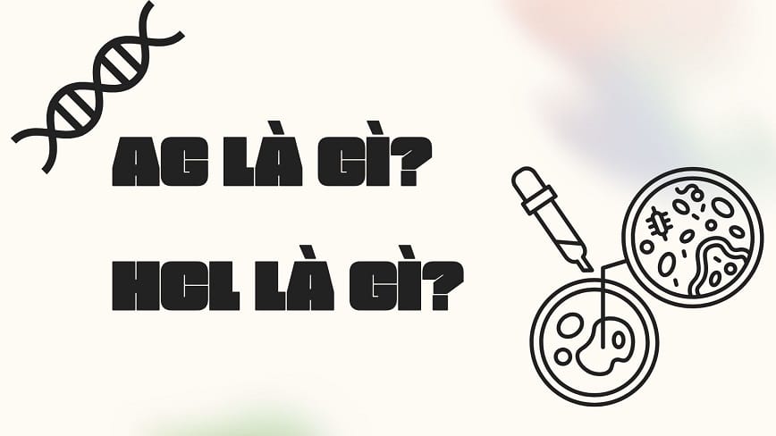 Bạn cần nắm rõ tính chất của từng chất riêng để hiểu về phản ứng