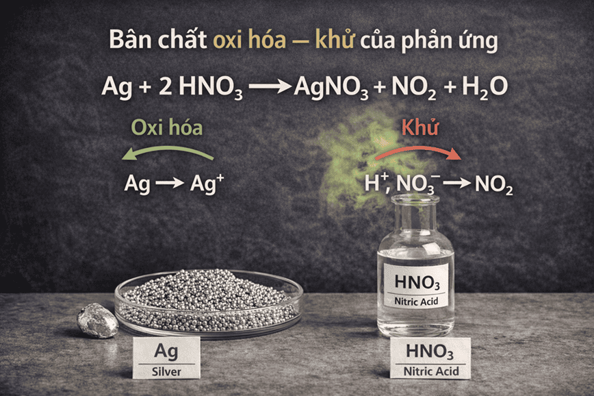 Bản chất hóa học trên phương diện oxi hóa khử của phản ứng