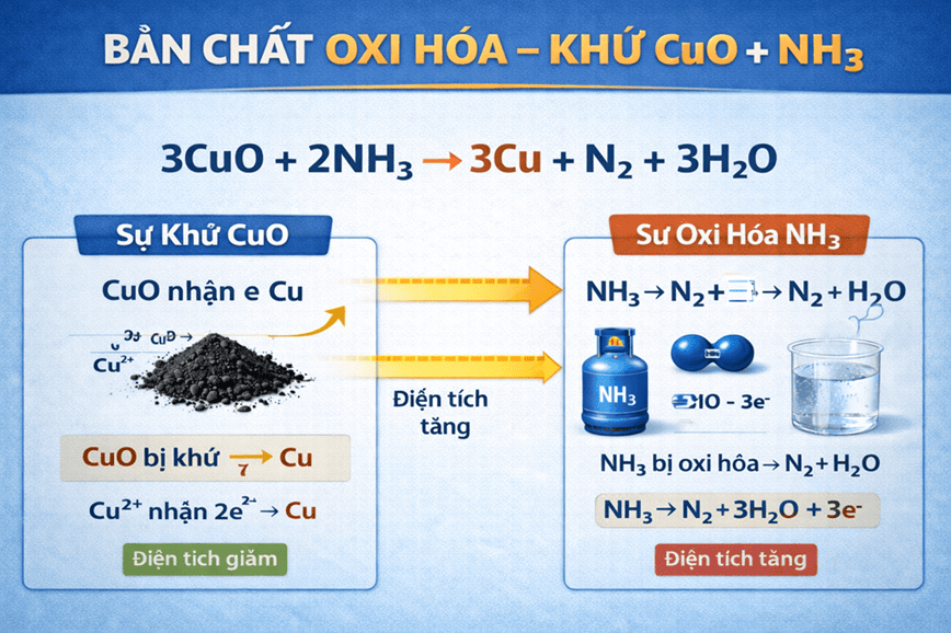 Đánh giá bản chất oxi hóa khử của CuO + NH3