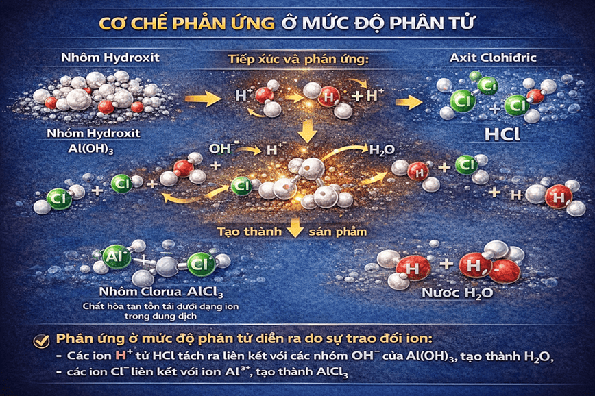 Đánh giá cơ chế phản ứng trên ở mức độ phân tử