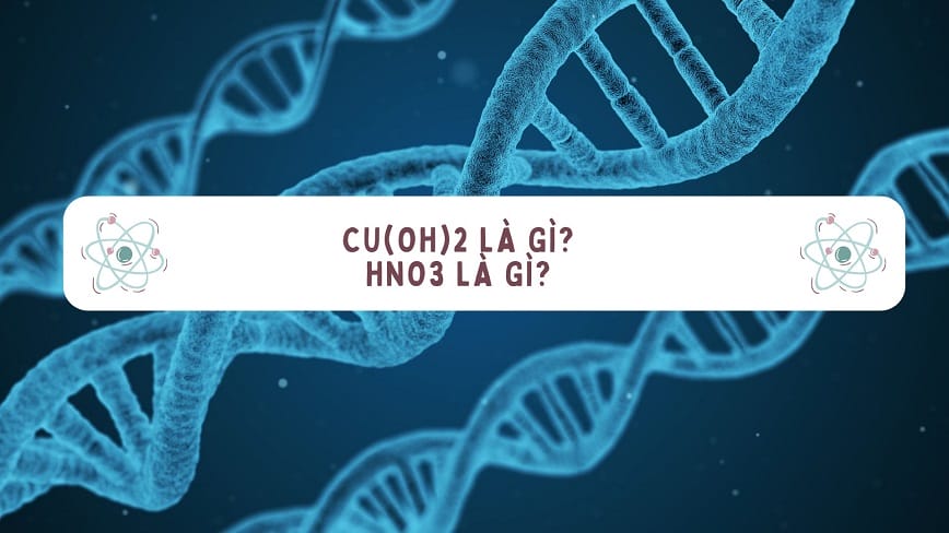 Mỗi hợp chất lại đóng vai trò khác nhau trong phản ứng