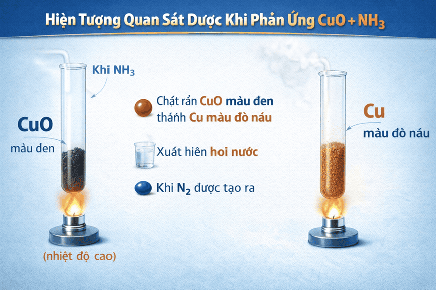 Những hiện tượng bạn sẽ thấy khi phản ứng xảy ra