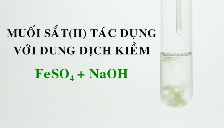 Phản ứng FeSO4 với NaOH tạo kết tủa Fe(OH)2 màu trắng xanh