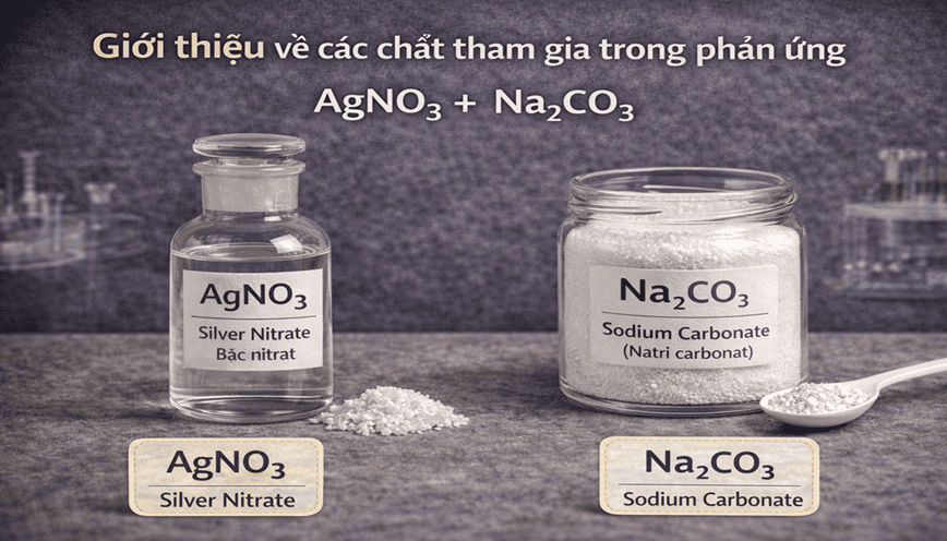 Các thông tin cơ bản về chất hóa học góp mặt trong phản ứng