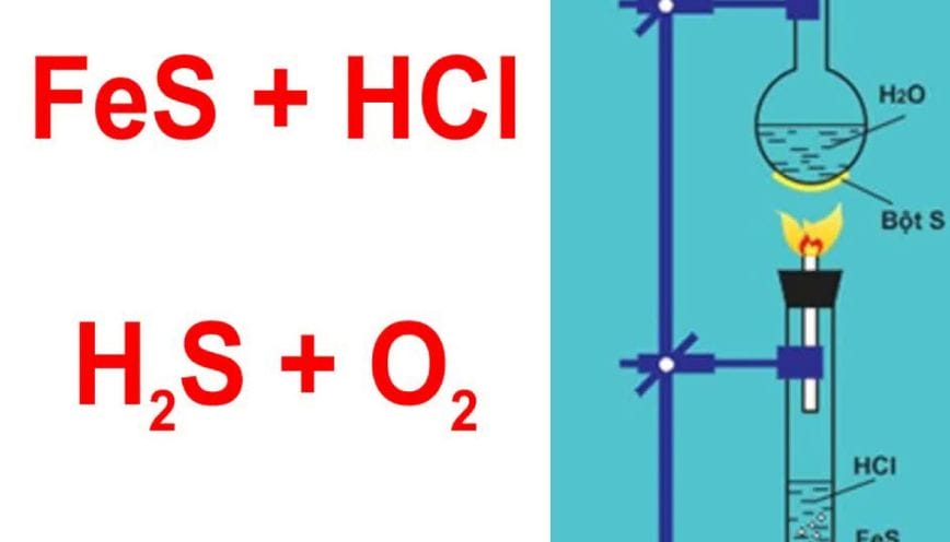 Tổng quan về phản ứng FeS + HCl và những điều mà bạn không nên bỏ lỡ