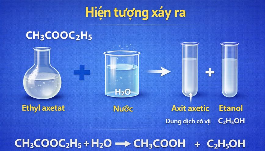Hiện tượng xảy ra khi phản ứng CH₃COOC₂H₅ + H₂O