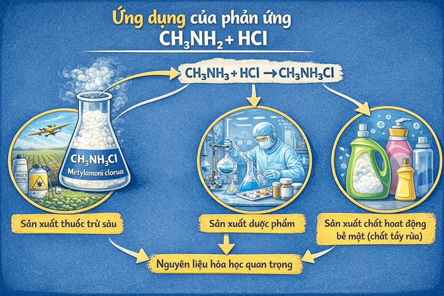 Ứng dụng quan trọng và thiết thực của phản ứng trong đời sống