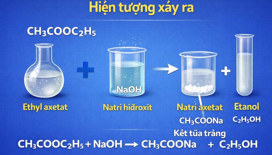 Mách bạn ý nghĩa và hiện tượng xảy ra của phản ứng