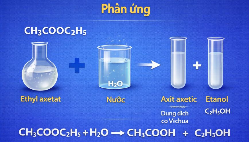 Những ứng dụng cơ bản của phản ứng CH₃COOC₂H₅ + H₂O