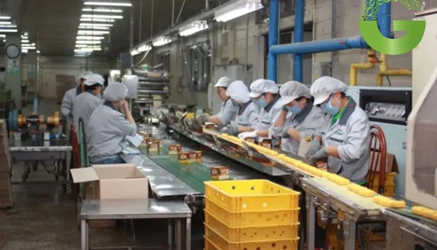 Sản phẩm của (C17H35COO)3C3H5 + NaOH có tác dụng gì?