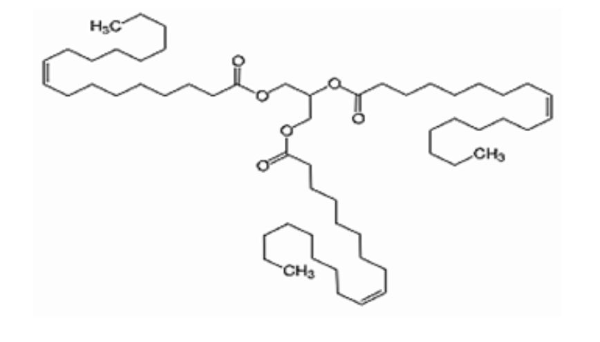 Triolein được cấu tạo từ glycerol và ba gốc axit oleic không no