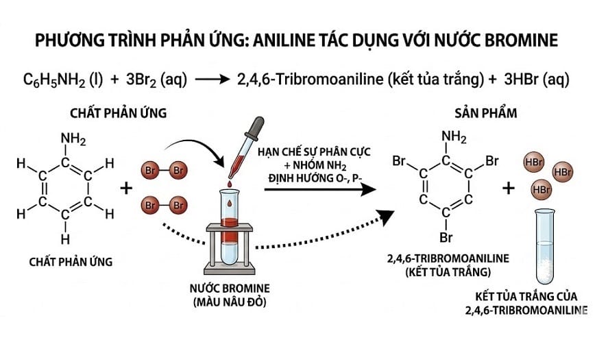 Mô tả cơ chế phản ứng C6H5NH2 + Br2