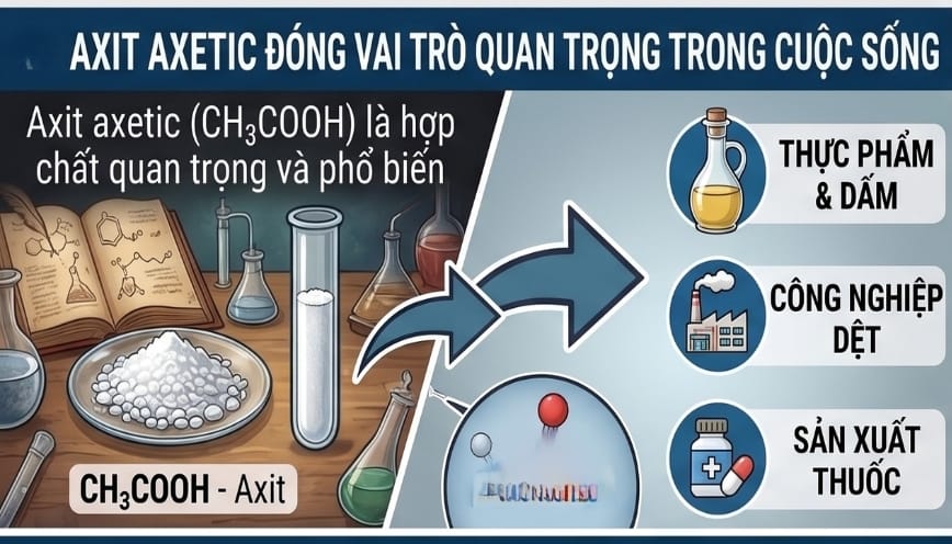 Axit axetic đóng vai trò quan trọng trong cuộc sống