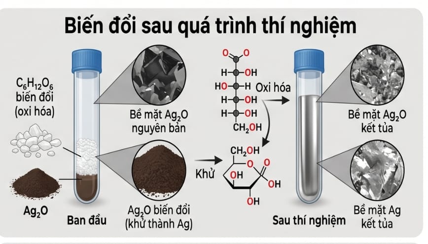 C6H12O6 và Ag2O bị biến đổi sau quá trình thí nghiệm  