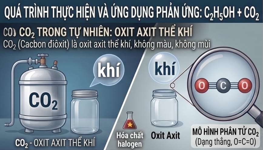 CO2 là một oxit axit tồn tại ở thể khí