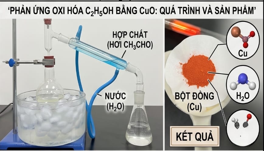 CuO bị khử trong quá trình phản ứng