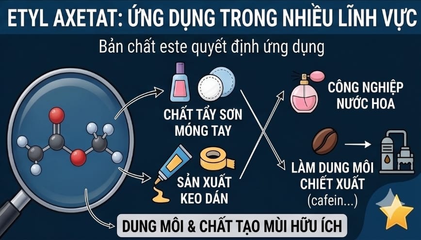 Etyl axetat được ứng dụng trong nhiều lĩnh vực