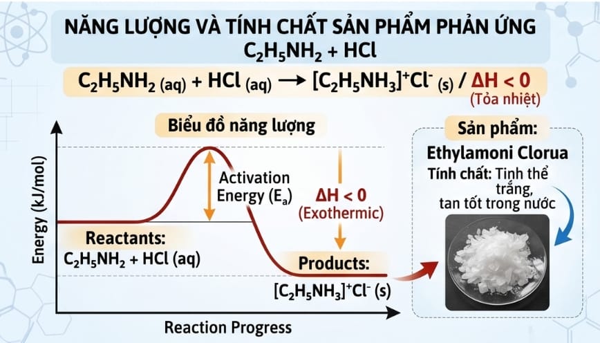 Etylamin có thể gây nguy hiểm đến sức khỏe