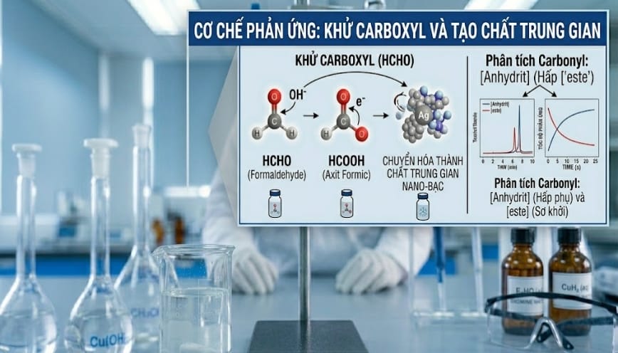 Hiện tượng khi cho CH3COOH tác dụng với Na