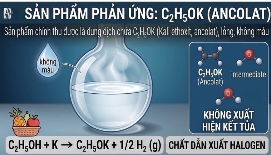 Không xuất hiện kết tủa trong phản ứng