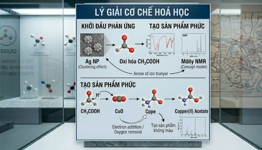 Lý giải cơ chế hoá học