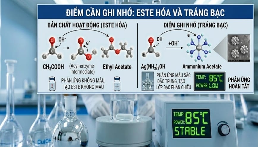Những tác nhân làm thay đổi hiệu quả quá trình hóa học