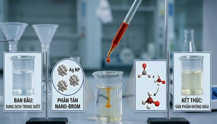 Phản ứng xảy ra dung dịch gần như không màu