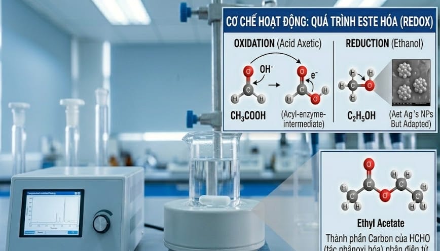 Phương trình hóa học và cân bằng chuẩn