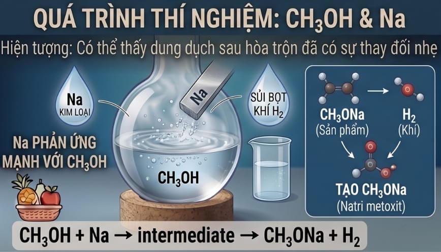 Quá trình CH3OH phản ứng với Na