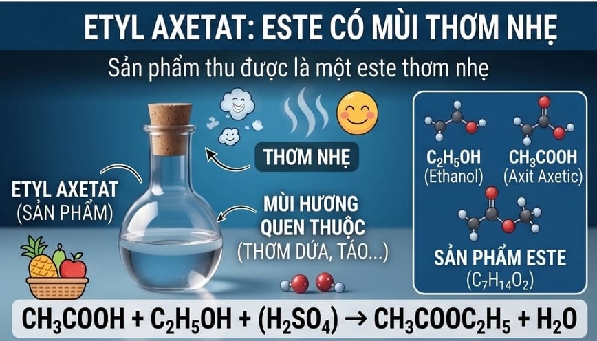 Quá trình hợp chất trung gian mất nước tạo thành este