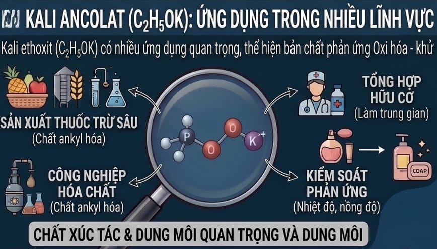 Quá trình thể hiện rõ bản chất của phản ứng oxi hóa - khử