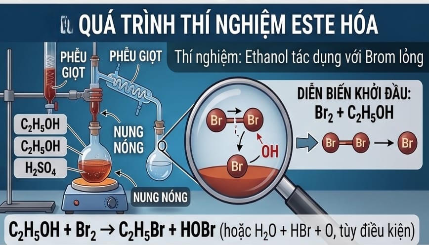 Quá trình thí nghiệm C2H5OH và Br2