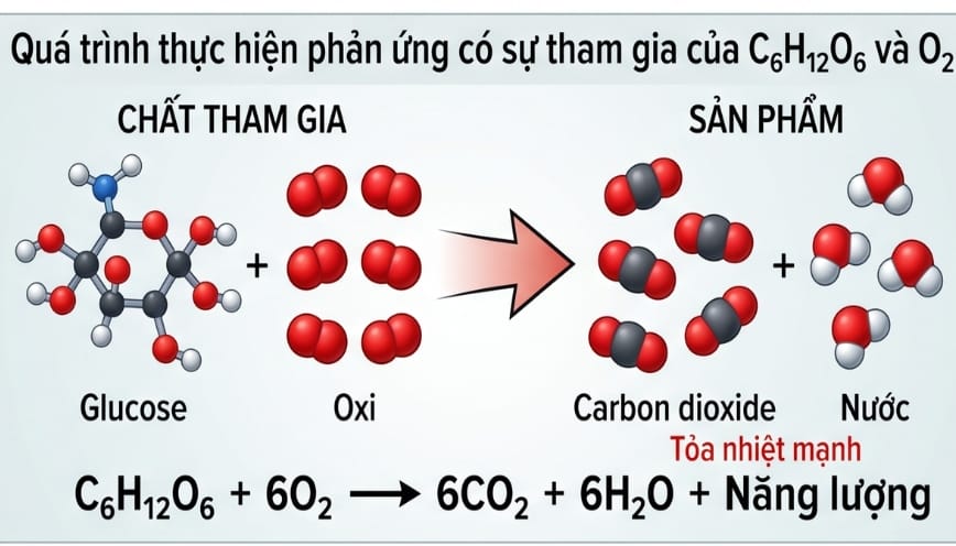 Quá trình thực hiện phản ứng có sự tham gia của C6H12O6 và O2