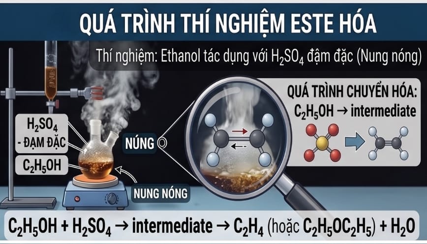 Quá trình thực hiện thí nghiệm giữa C2H5OH và H2SO4