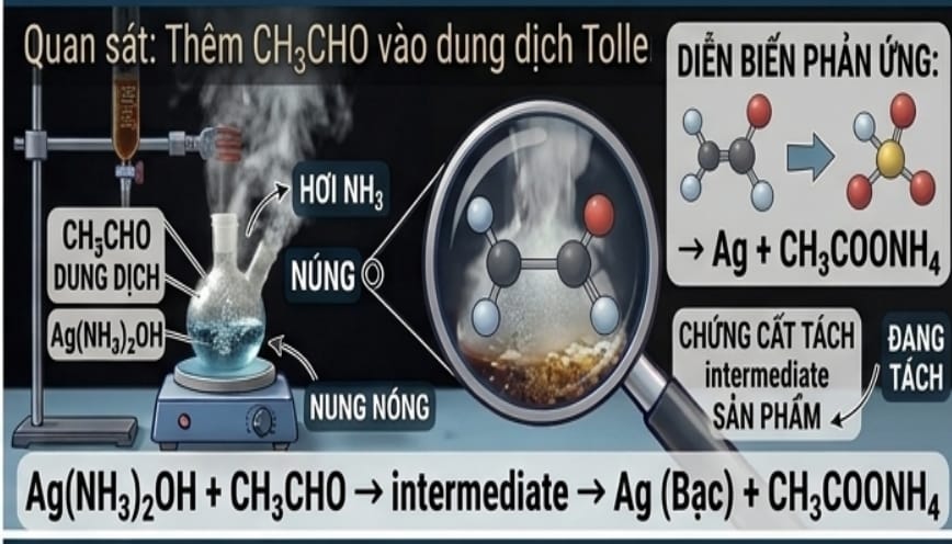 Quan sát những thay đổi trong quá trình thí nghiệm