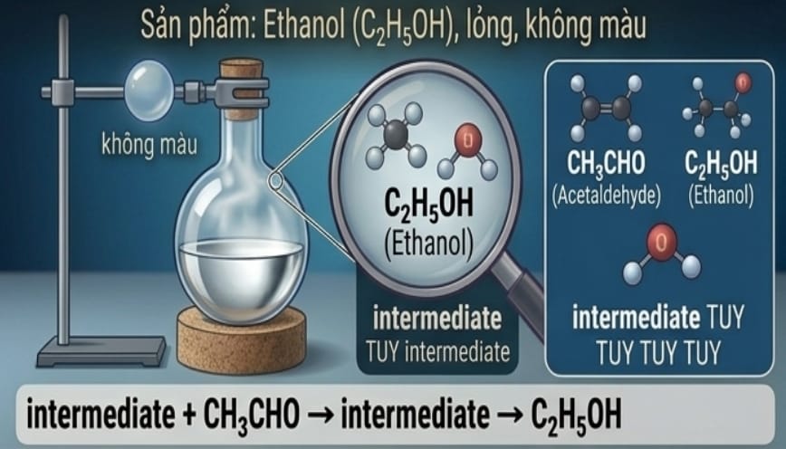 Sản phẩm là etanol (C2H5OH) được ứng dụng trong nhiều lĩnh vực
