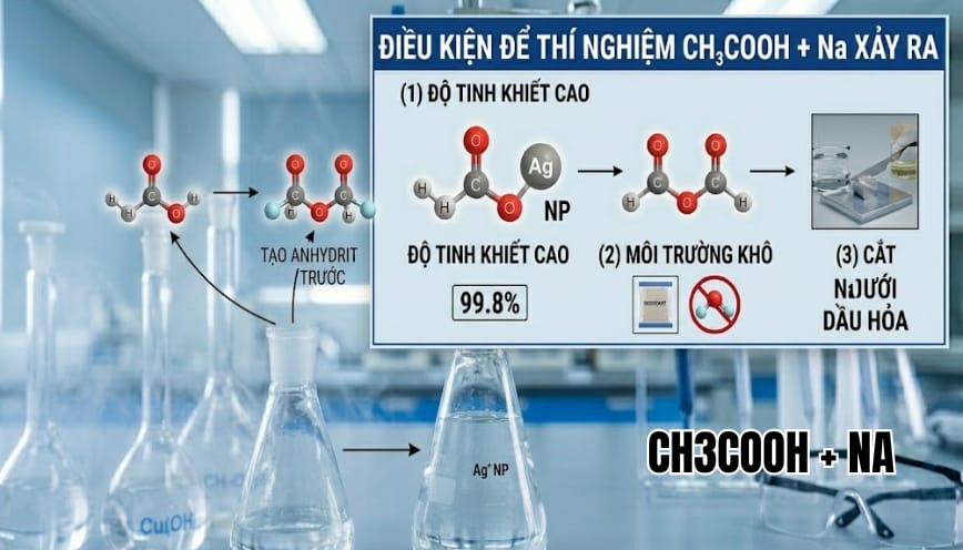 CH3COOH + Na là một trong những kiến thức cơ bản nhưng rất quan trọng trong chương trình hóa học, thường xuất hiện trong cả lý thuyết lẫn bài tập. Bài viết này HoaHoc24h.com sẽ phân tích chi tiết từ cơ chế phản ứng đến các yếu tố ảnh hưởng, giúp bạn nắm chắc kiến thức một cách hệ thống. CH3COOH + Na là phản ứng gì? Phản ứng giữa CH3COOH + Na là một trong những kiến thức nền tảng nhưng rất quan trọng trong chương trình hóa học. Đây không chỉ là phản ứng thường gặp trong bài tập mà còn giúp người học hiểu rõ bản chất của axit hữu cơ khi tác dụng với kim loại. Bản chất hóa học của phản ứng Để hiểu rõ phản ứng này, trước hết cần nhìn vào bản chất của hai chất tham gia. CH3COOH (axit axetic) là một axit hữu cơ yếu, có khả năng phân li tạo ion H⁺ trong dung dịch. Trong khi đó, Na (natri) là kim loại kiềm có tính khử rất mạnh, dễ dàng nhường electron trong hóa học. Khi hai chất này tiếp xúc với nhau, natri sẽ phản ứng trực tiếp với nhóm –COOH của axit. Bản chất của quá trình này là phản ứng giữa axit và kim loại kiềm, trong đó kim loại sẽ thay thế nguyên tử hidro linh động trong nhóm chức. Đây cũng được xếp vào phản ứng thế, bởi kim loại Na đã “đẩy” nguyên tử H ra khỏi nhóm –COOH để tạo thành muối mới. Đồng thời, các nguyên tử hidro bị tách ra sẽ kết hợp với nhau tạo thành khí H₂. Như vậy, xét về bản chất sâu hơn, phản ứng này còn mang đặc điểm của phản ứng oxi hóa – khử: ● Na bị oxi hóa (mất electron) ● H⁺ bị khử (nhận electron tạo thành H₂) Điều kiện để thí nghiệm kết hợp Na xảy ra Một điểm thuận lợi của phản ứng CH3COOH + Na là không đòi hỏi điều kiện quá phức tạp. Tuy nhiên, để phản ứng diễn ra rõ ràng và hiệu quả, cần đảm bảo một số yếu tố sau: Điều kiện để thí nghiệm kết hợp Na xảy ra Trước hết, phản ứng có thể xảy ra ngay ở nhiệt độ thường. Điều này là do natri là kim loại hoạt động mạnh, không cần cung cấp thêm năng lượng để kích hoạt thí nghiệm. Bên cạnh đó, natri phải còn hoạt động, nghĩa là bề mặt kim loại chưa bị oxi hóa. Trong thực tế, natri thường được bảo quản trong dầu hỏa để tránh tiếp xúc với không khí và hơi nước. Nếu bề mặt Na đã bị phủ một lớp oxit, phản ứng sẽ xảy ra chậm hơn hoặc không rõ rệt. Phương trình phản ứng CH3COOH + Na Phương trình phản ứng là phần quan trọng giúp người học nắm rõ sự biến đổi của các chất trong quá trình phản ứng. Phương trình hóa học đầy đủ Phản ứng này thể hiện rõ sự tương tác giữa axit và kim loại trong hóa học. Kết hợp giữa axit axetic và natri được biểu diễn bằng phương trình: 2CH3COOH+2Na→2CH3COONa+H22CH_3COOH + 2Na -> CH_3COONa + H_22CH3COOH+2Na→2CH3COONa+H2 Phương trình cho thấy tỉ lệ phản ứng giữa các chất tham gia được cân bằng rõ ràng, đảm bảo bảo toàn nguyên tử trước và sau phản ứng. Đồng thời, nó cũng giúp xác định chính xác lượng sản phẩm tạo thành khi biết số mol ban đầu của các chất. ● Hai phân tử axit phản ứng với hai nguyên tử natri ● Tạo ra hai phân tử muối natri axetat và một phân tử khí hidro Giải thích cách lập phương trình Để viết đúng phương trình này, cần thực hiện theo các bước logic. Đầu tiên, xác định sản phẩm tạo thành. Khi axit tác dụng với kim loại kiềm, sản phẩm luôn gồm muối và khí H₂. Trong trường hợp này, muối tạo thành là CH3COONa. Tiếp theo, tiến hành cân bằng phương trình. Ban đầu, nếu viết đơn giản: CH3COOH + Na → CH3COONa + H₂ Ta sẽ thấy số nguyên tử H chưa cân bằng. Vì khí H₂ có 2 nguyên tử H, nên cần nhân hệ số phù hợp để đảm bảo cân bằng hai vế. Sau khi điều chỉnh, ta thu được phương trình hoàn chỉnh như trên. Đây là bước quan trọng vì sai hệ số là lỗi phổ biến trong bài thi. Hiện tượng khi cho CH3COOH tác dụng với Na Không chỉ dừng lại ở lý thuyết, phản ứng này còn có thể quan sát rõ ràng trong thực nghiệm. Quá trình diễn ra kèm theo những dấu hiệu đặc trưng giúp người học dễ dàng nhận biết và ghi nhớ. Hiện tượng khi cho CH3COOH tác dụng với Na Dấu hiệu nhận biết phản ứng axit axetic + Natri Khi cho một mẩu natri vào dung dịch CH3COOH, bạn sẽ thấy ngay các hiện tượng đặc trưng. Trước hết là hiện tượng sủi bọt khí, do khí hidro được tạo ra liên tục trong quá trình phản ứng. Các bọt khí nổi lên bề mặt dung dịch khá rõ ràng. Đồng thời, natri tan dần theo thời gian. Kích thước của kim loại giảm đi cho đến khi biến mất hoàn toàn. Trong một số trường hợp, có thể thấy natri di chuyển trên bề mặt dung dịch do lực đẩy của khí sinh ra. Giải thích hiện tượng khi thí nghiệm Axit axetic + Natri Những hiện tượng trên đều xuất phát từ bản chất hóa học của phản ứng. Việc sủi bọt khí là do các ion H⁺ trong axit nhận electron từ natri và tạo thành khí H₂. Đây là dấu hiệu đặc trưng của phản ứng giữa axit và kim loại. Ngoài ra, thí nghiệm còn tỏa nhiệt nhẹ, khiến môi trường xung quanh ấm lên. Nhiệt sinh ra góp phần làm tăng tốc độ phản ứng, khiến natri tan nhanh hơn. Sản phẩm của phản ứng CH3COOH kết hợp Natri Sản phẩm của phản ứng gồm hai thành phần chính là muối và khí. Muối tạo thành là natri axetat (CH3COONa), một chất tan tốt trong nước và có nhiều ứng dụng trong thực tế. Đây là muối của axit yếu nên dung dịch có tính bazơ nhẹ. Thành phần thứ hai là khí hidro (H2), một chất khí không màu, không mùi và rất nhẹ. Khí này dễ cháy nên cần cẩn trọng khi thực hiện thí nghiệm.Việc hiểu rõ sản phẩm giúp người học dễ dàng giải bài tập cũng như nhận diện phản ứng trong thực tế. Cơ chế phản ứng CH3COOH + Na diễn ra như thế nào? Hiểu cơ chế sẽ giúp bạn nắm sâu bản chất thay vì chỉ ghi nhớ máy móc. Đồng thời, việc phân tích từng bước diễn biến còn giúp bạn dễ dàng vận dụng kiến thức vào các dạng bài tập liên quan. Cơ chế phản ứng CH3COOH + Na diễn ra như thế nào? Quá trình tách H+ từ nhóm –COOH Trong phân tử CH3COOH, nhóm –COOH có liên kết O–H phân cực. Điều này khiến nguyên tử H trở nên linh động và dễ bị tách ra dưới dạng ion H⁺. Khi natri tiếp xúc, nó nhường electron để biến H⁺ thành H nguyên tử. Đây là bước đầu tiên trong cơ chế phản ứng. Sự hình thành khí Hidro (H2) Sau khi được tạo ra, các nguyên tử H sẽ nhanh chóng kết hợp với nhau để tạo thành phân tử H₂. Quá trình này diễn ra rất nhanh, tạo thành các bọt khí quan sát được trong thí nghiệm. Đây cũng là lý do khiến phản ứng có hiện tượng sủi bọt mạnh. Các yếu tố ảnh hưởng đến tốc độ phản ứng Tốc độ phản ứng không phải lúc nào cũng giống nhau mà phụ thuộc vào nhiều yếu tố khác nhau. Việc hiểu rõ những yếu tố này sẽ giúp kiểm soát và tối ưu hóa quá trình thí nghiệm hiệu quả hơn. ● Diện tích bề mặt của Na: Nếu natri được chia nhỏ hoặc có diện tích bề mặt lớn, phản ứng sẽ xảy ra nhanh hơn. Điều này là do diện tích tiếp xúc với dung dịch tăng lên. Ngược lại, nếu natri ở dạng khối lớn, tốc độ cho kết quả sẽ chậm hơn. ● Nồng độ dung dịch CH3COOH: Dung dịch axit càng đậm đặc thì số lượng ion H⁺ càng nhiều, từ đó làm tăng tốc độ phản ứng. Nếu dung dịch quá loãng, thí nghiệm vẫn xảy ra nhưng yếu và khó quan sát hơn. ● Nhiệt độ môi trường: Nhiệt độ cao sẽ làm tăng động năng của các phân tử, giúp phản ứng diễn ra nhanh hơn. Tuy nhiên, với sự kết hợp này, ngay cả ở nhiệt độ thường vẫn có thể quan sát rõ ràng hiện tượng. Phân biệt CH3COOH + Na với các phản ứng dễ nhầm lẫn Trong quá trình học, nhiều học sinh thường nhầm lẫn phản ứng này với các dạng khác. Việc nhận diện đúng bản chất sẽ giúp tránh sai sót và củng cố kiến thức một cách chính xác hơn. Phân biệt CH3COOH + Na với các phản ứng dễ nhầm lẫn ● Nhầm với phản ứng este hóa: Dạng Este hóa xảy ra giữa axit và ancol, tạo thành este và nước. Trong khi đó, kết hợp với Na tạo ra muối và khí H₂. Điểm khác biệt lớn nhất là không có khí H₂ trong phản ứng este hóa. ● Nhầm với dạng trung hòa: Phản ứng trung hòa diễn ra giữa axit và bazơ (ví dụ NaOH), tạo muối và nước. Còn với Na kim loại, sản phẩm không phải là nước mà là khí hidro. Đây là dấu hiệu giúp phân biệt nhanh trong bài thi. CH3COOH + Na không chỉ đơn giản là một phương trình hóa học mà còn thể hiện rõ bản chất của axit hữu cơ khi tác dụng với kim loại mạnh. Việc hiểu sâu từ, hiện tượng đến cơ chế sẽ giúp bạn làm tốt cả lý thuyết lẫn bài tập, đồng thời tránh những nhầm lẫn phổ biến trong quá trình học tại HoaHoc24h.com.